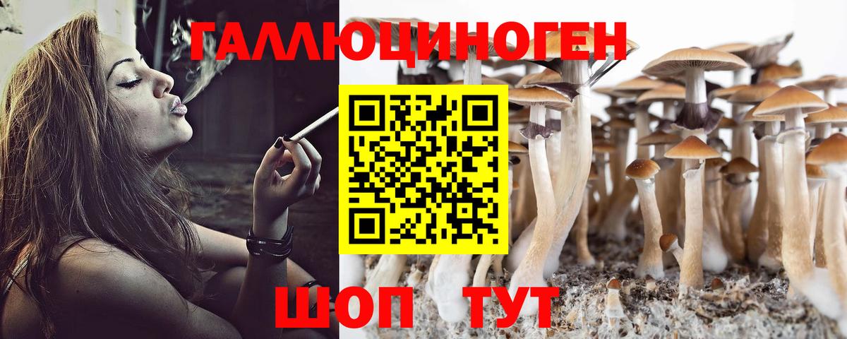 Новоалександровск  Галлюциногенные грибы GOLDEN TEACHER  Вход с VPN 